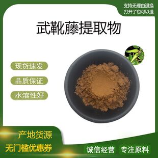 武靴藤提取物30:1 匙羹藤酸25%武靴藤酸 武靴藤浓缩粉 现货包邮