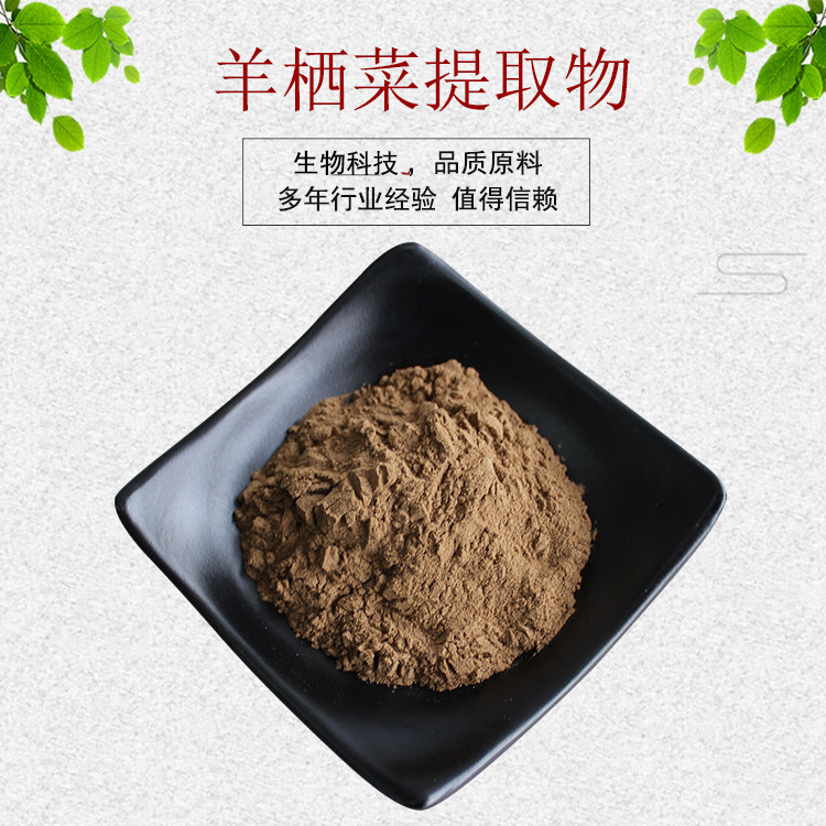 羊栖菜提取物羊栖菜多糖