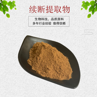 续断提取物30:1  续断浓缩粉 植物提取物 量大优惠 现货包邮