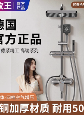 九牧王适用加厚全铜淋浴花洒套装