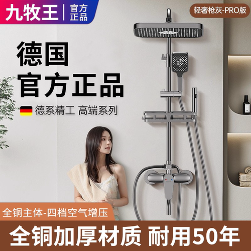 九牧王适用加厚全铜淋浴花洒套装