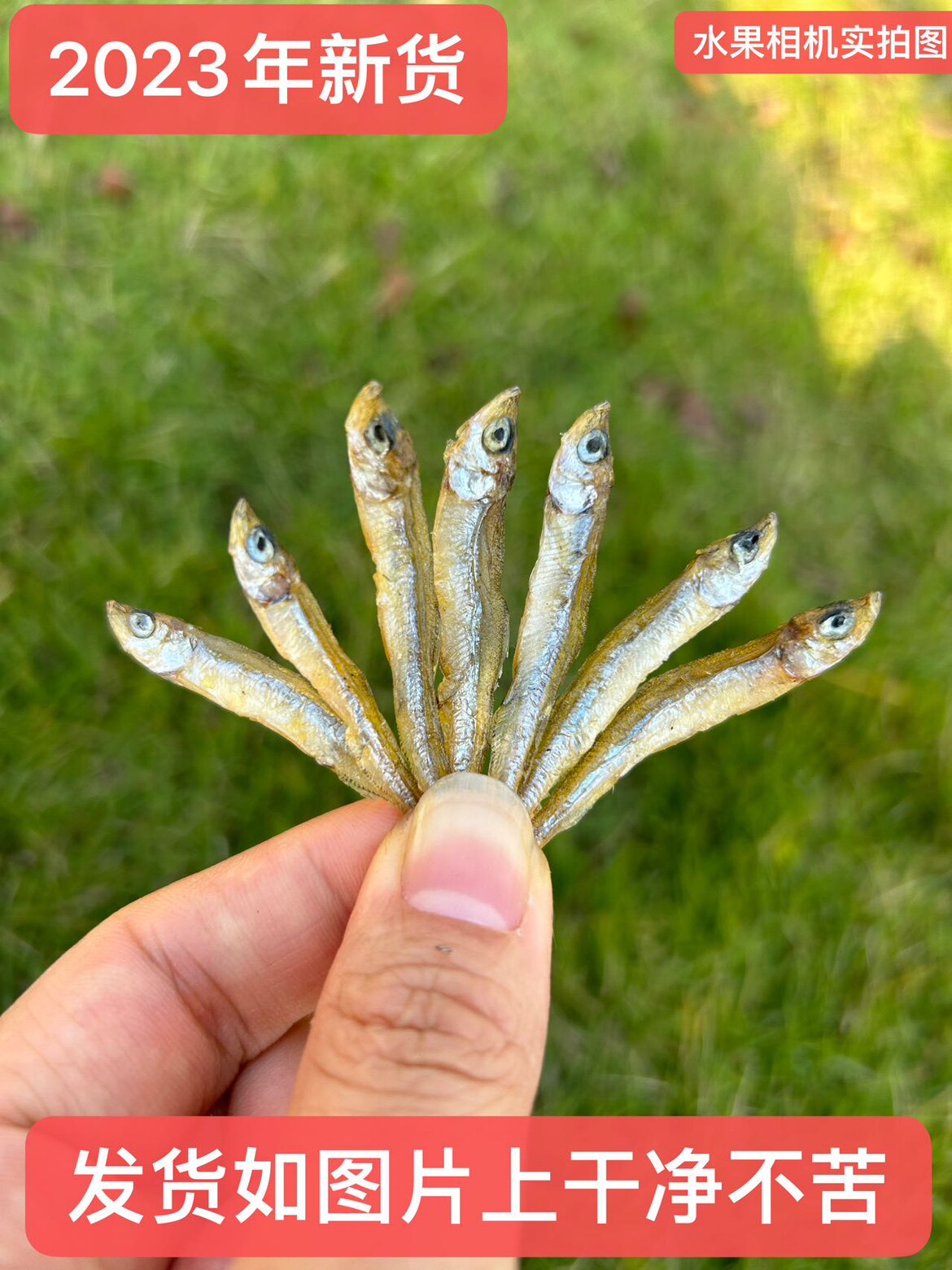 农家火焙鱼小鱼苗无盐(小个)不苦不腥农家自缺淡水鱼干500g