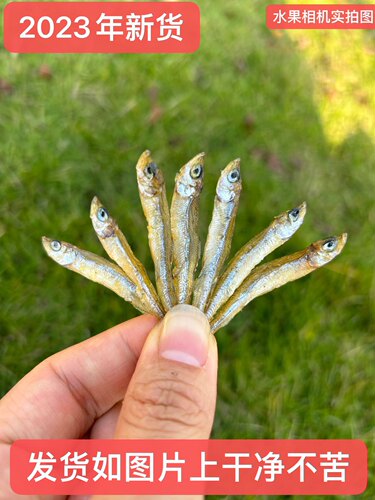 农家火焙鱼小鱼苗无盐（小个）不苦不腥农家自缺淡水鱼干500g