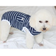 潮查利家狗狗春夏薄款 条纹包肚背心泰迪比熊雪纳瑞犬19护肚纯棉衣