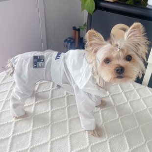 潮查利家宠物狗狗夏装防晒衣泰迪比熊约克夏猫咪公母犬防尘薄凉款