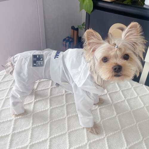 潮查利家泰迪比熊四脚衣服
