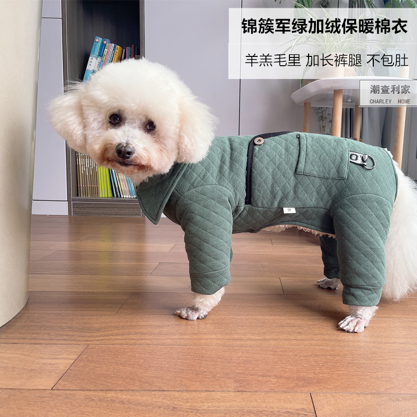 潮查利家泰迪比熊长腿棉衣