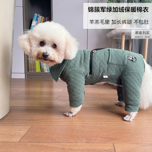 潮查利家泰迪比熊长腿棉衣