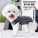 潮查利家狗狗春夏全棉包肚背心泰迪比熊猫咪中小犬护肚术后服薄款