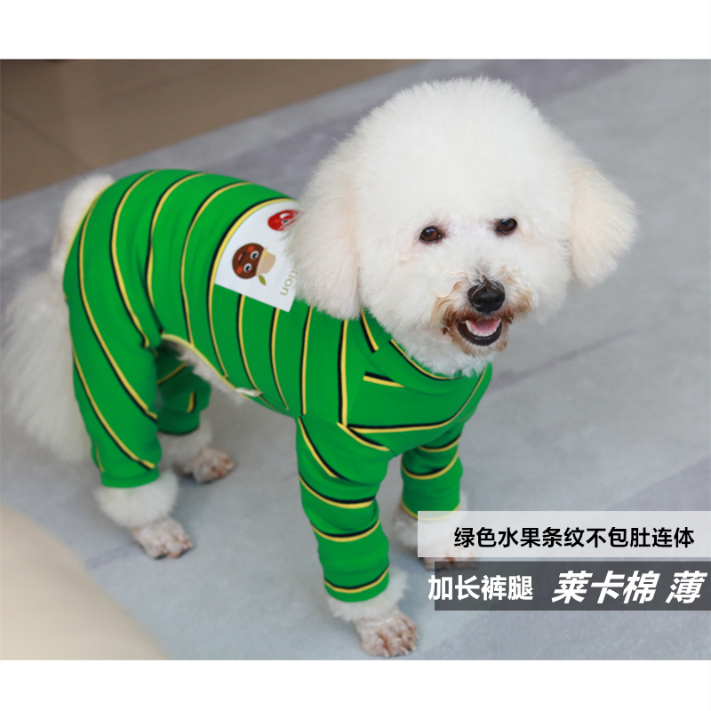 泰迪奶猫咪宠物薄款法斗