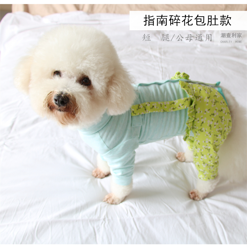 狗狗衣服春秋全棉薄款吉娃娃犬