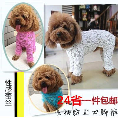 包邮】长袖蕾丝打底衫小犬四脚衣泰迪贵宾比熊狗狗衣服宠物春夏装