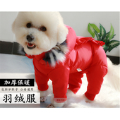 潮查利家泰迪小狗冬款 加厚过年衣服小型犬棉衣四脚包肚轻薄羽绒服