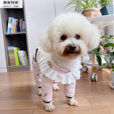 潮查利家泰迪比熊四脚衣服