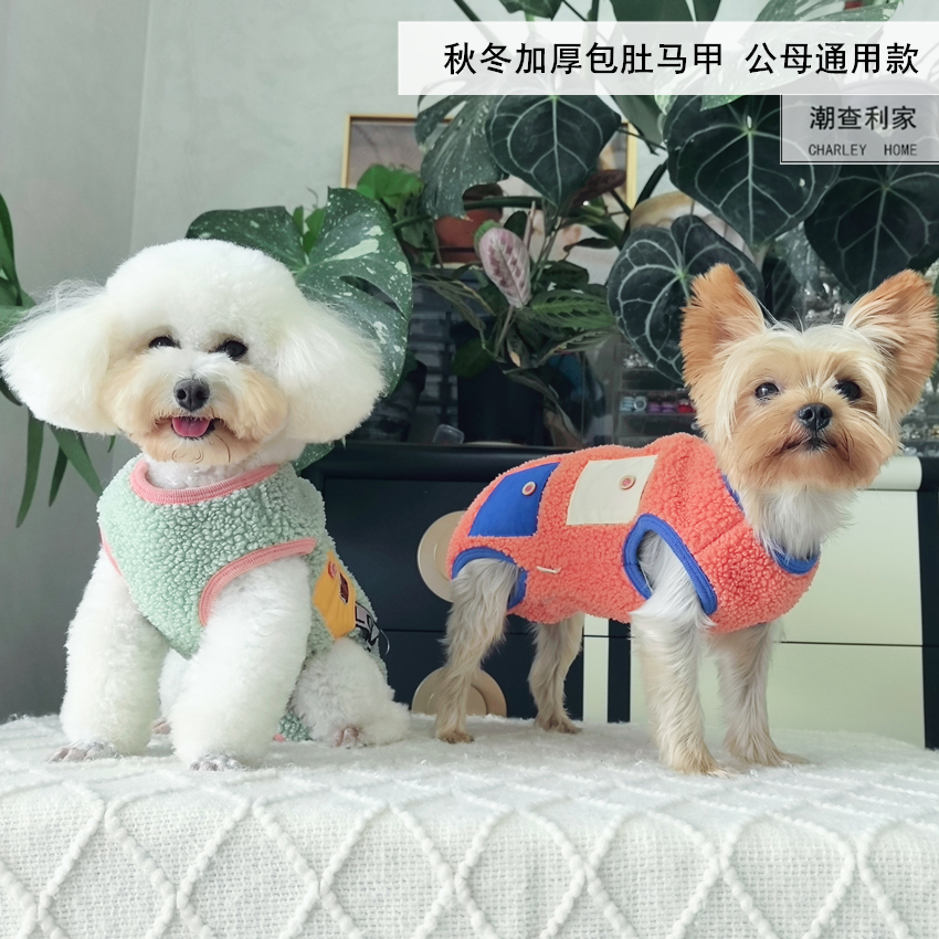 潮查利家泰迪比熊保暖包肚马甲