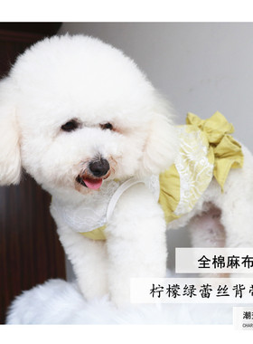 蕾丝背带公主风薄款比熊包邮