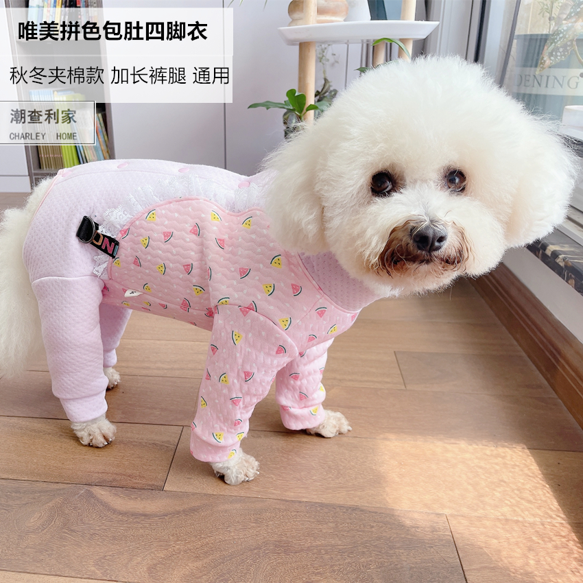 潮查利家泰迪比熊四脚衣服