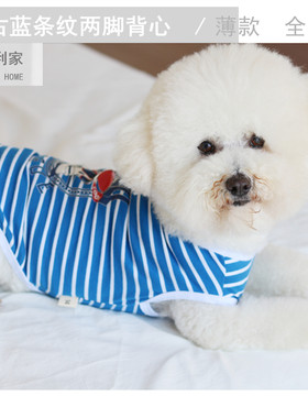 法斗包邮两脚中小犬条纹t恤比熊