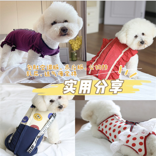 狗狗新款夏装包肚背心中犬比熊