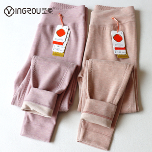 330g莹柔8012加厚保暖裤含羊毛加长护膝棉毛裤女冬修身暖腿裤衬裤