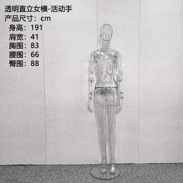 透明男女模特全身假人体拍摄