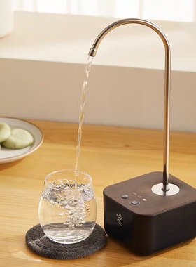 台式自动上水器充电式压水器家用
