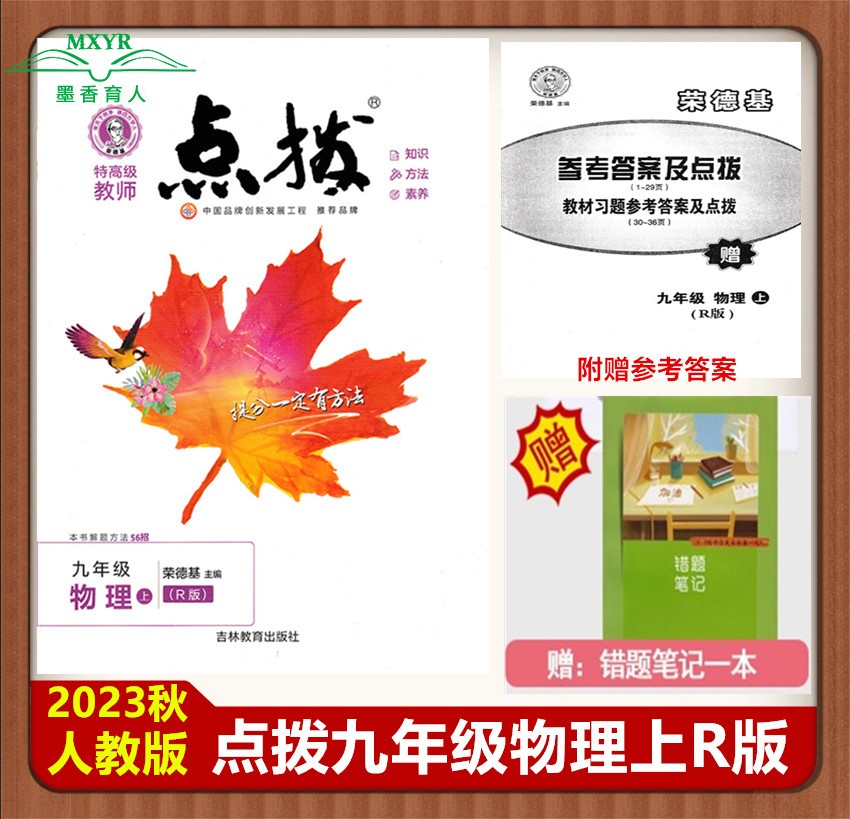 2023高级教师点拨九年物理上册