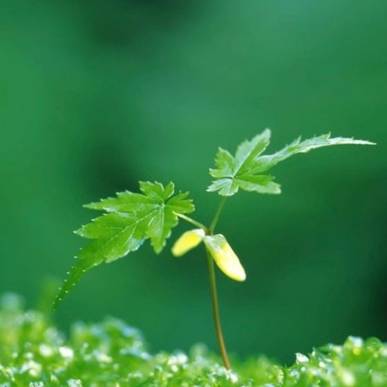 101-150号 专柜女装