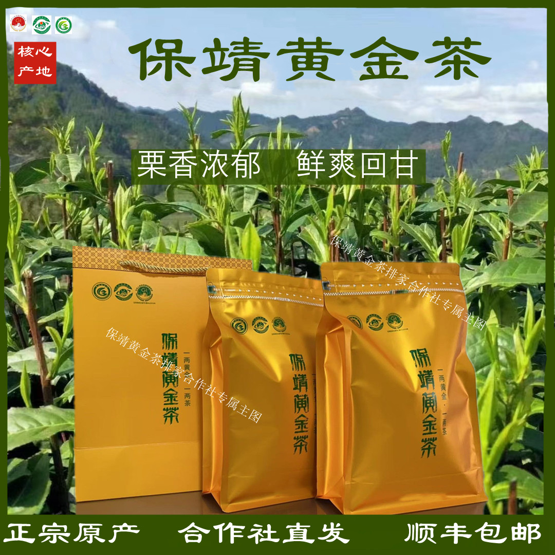 2021湘西保靖黄金茶绿茶红茶