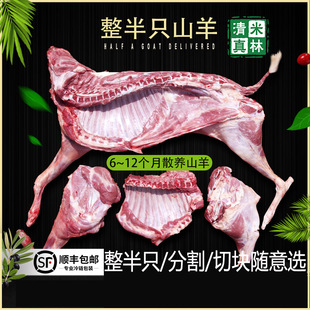 清真新鲜羊肉 现杀山羊半只羊 带皮羊腿羊蝎子全羊整只羊10斤顺丰
