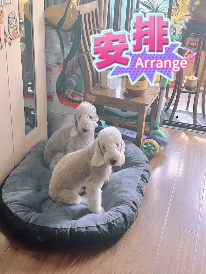 狗垫子隔垫薄款垫春秋季节