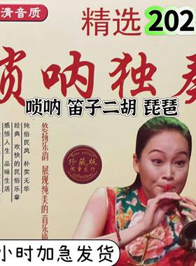 喜庆唢呐笛子二胡琵琶U盘吹奏曲欢快MP3民族乐曲音频唢呐独奏曲