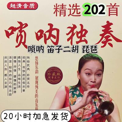 喜庆唢呐笛子二胡琵琶U盘吹奏曲欢快MP3民族乐曲音频唢呐独奏曲