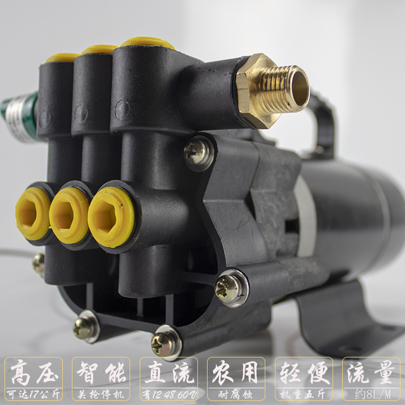 12v48v60电动农用打药机家用抽水浇菜地神器不锈钢增压泵自吸车用