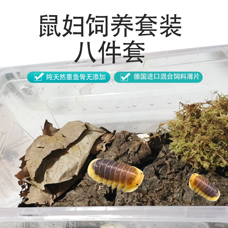 鼠妇饲养套装薄片饲料橡树叶垫材土西瓜虫套餐潮虫用品整套饲养盒