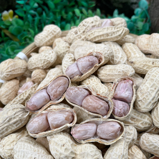 广东客家特产农家正宗忠信水煮咸干花生太阳晒干坚果零食下酒菜