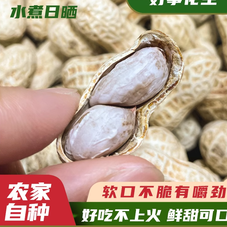 农家特产河源忠信水煮日晒咸干花生白晒咸味花生坚果零食下酒菜