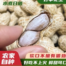 农家特产河源忠信水煮日晒咸干花生白晒咸味花生坚果零食下酒菜