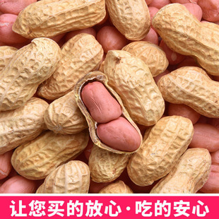河源忠信农家自种带壳生花生新鲜晒干薄壳原味粉红皮花生