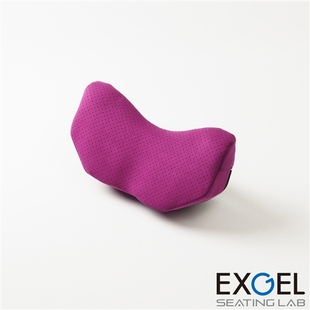 日本原装 进口EXGEL汽车头枕护凝胶颈枕车用靠枕颈枕腰靠车内座椅