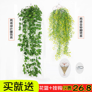 仿真金钟柳植物壁挂绿萝叶吊兰装饰藤蔓塑料假花藤条绿植墙壁挂篮