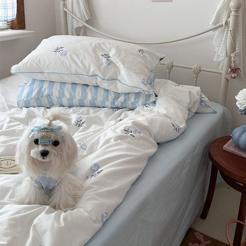 ins工艺款小清新全棉四件套