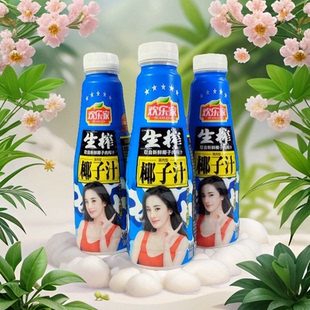 欢乐家生榨椰子汁500ml 4瓶果肉植物蛋白饮品