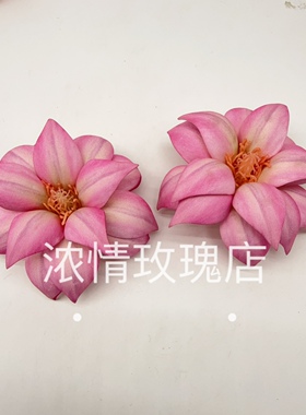 韩式仿真花头木兰花3D打印胶片花头配件手工花环diy装饰花