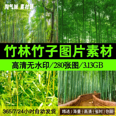 高清JPG竹林竹子图片竹叶青竹翠竹密林风景绿色自然美景摄影素材