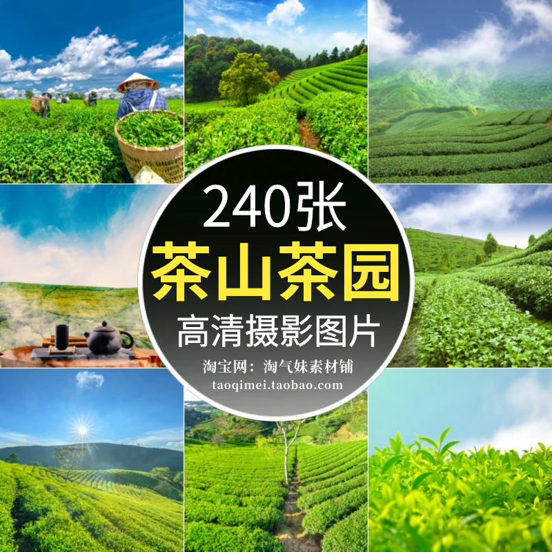 高清JPG茶叶种植园图片采茶园茶山茶场茶田园自然风光素材摄影照-封面