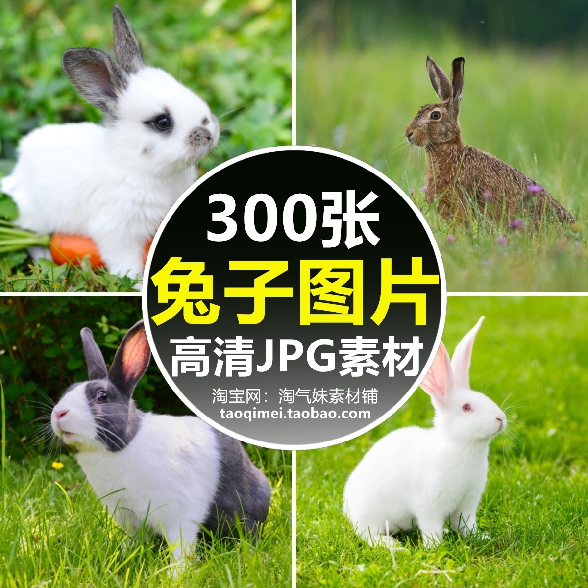 高清jpg动物摄影小白兔子图片灰兔黑兔野兔绘画背景喷绘设计素材