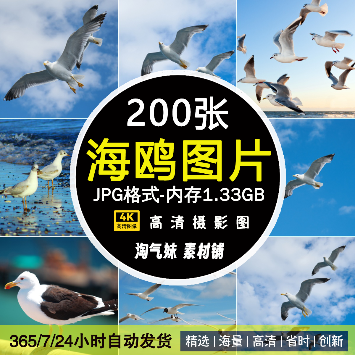 高清JPG海鸥图片海燕海鸟大海天空飞禽鸟群飞鸟动物世界摄影素材
