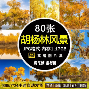 高清JPG胡杨林图片大漠内蒙古额济纳沙漠树木植物风景摄影PS素材
