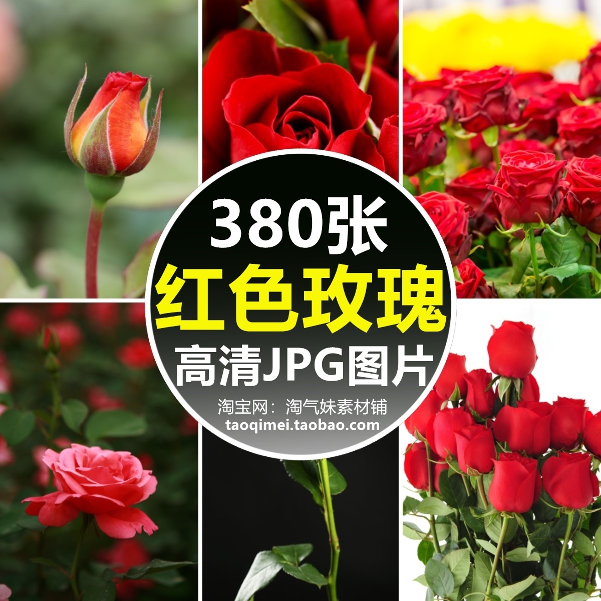 高清jpg红色玫瑰花图片花朵花束花瓣花卉鲜花店浪漫背景摄影素材